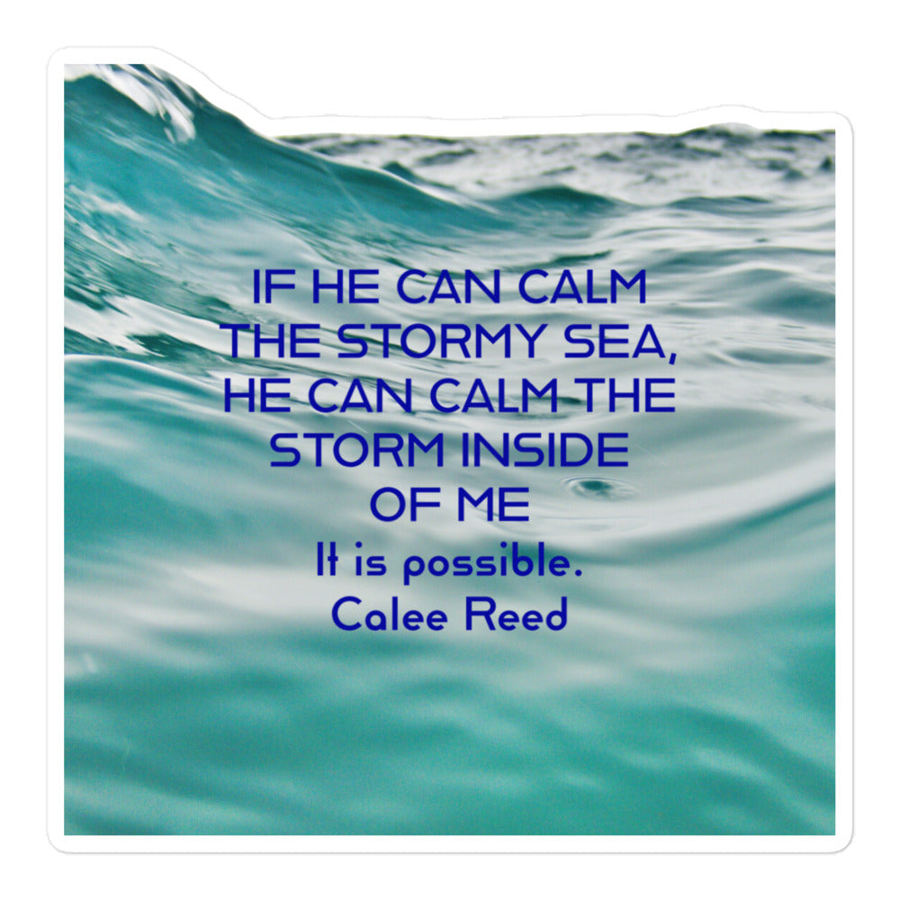 CALM THE STORM Bubble-free stickers