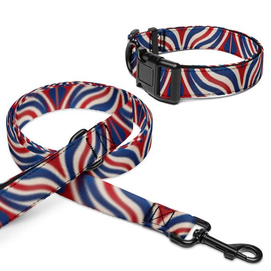 Pet collar & leash