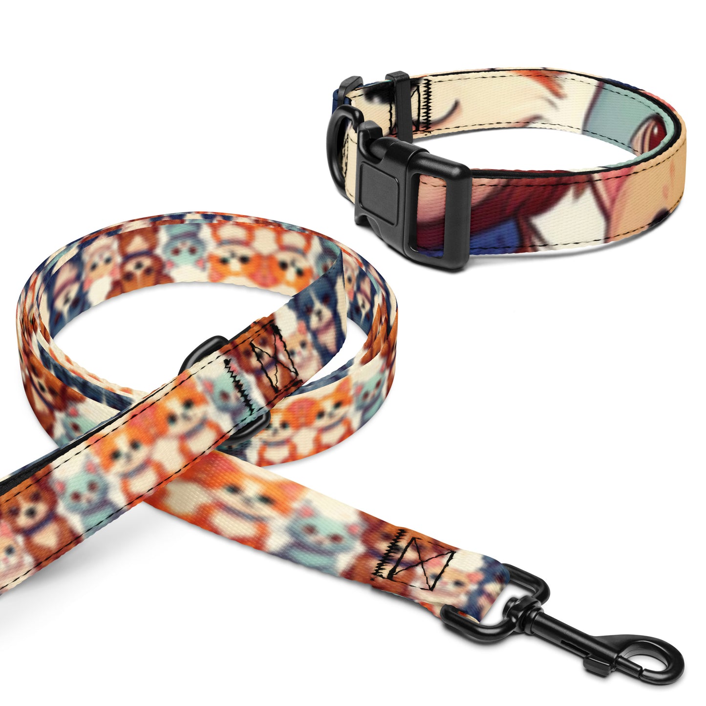 Pet collar & leash