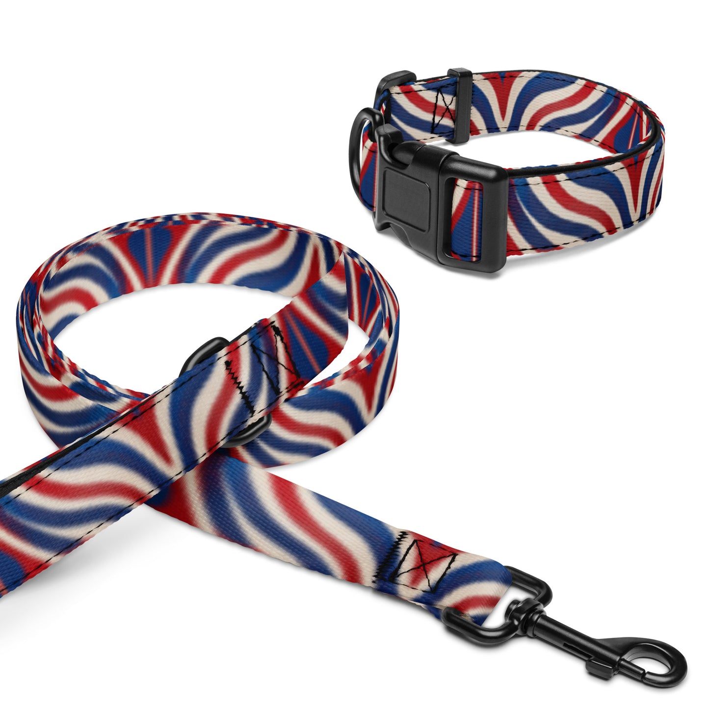 Pet collar & leash