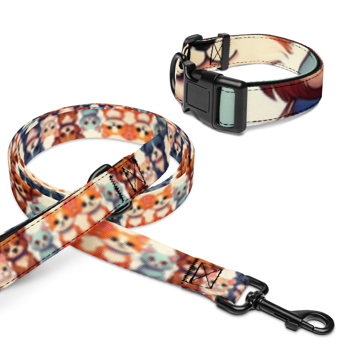 Pet collar & leash