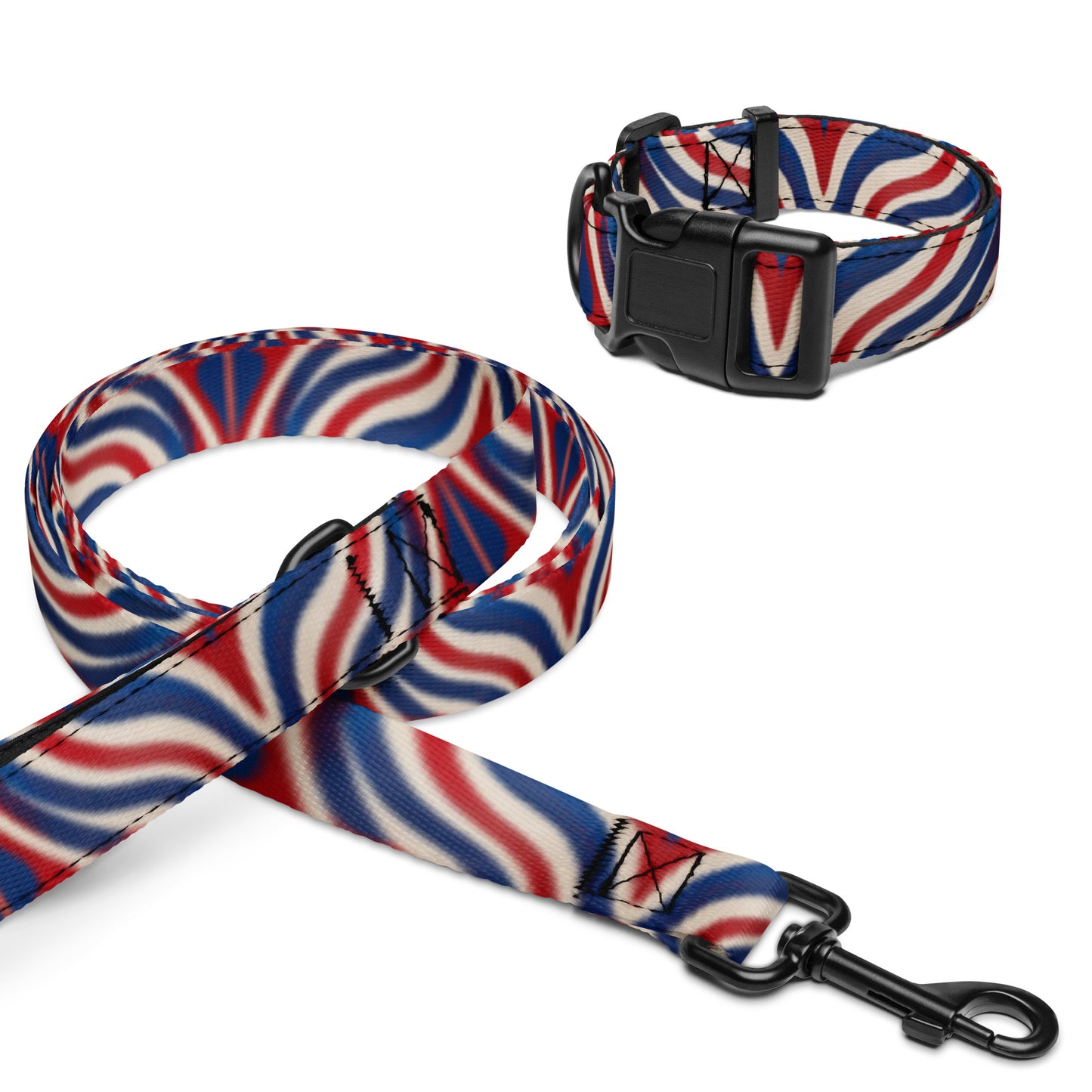 Pet collar & leash