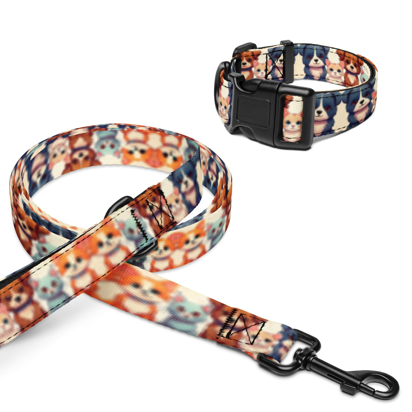 Pet collar & leash